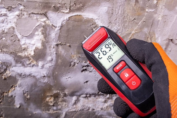 Best Residential Mold Removal  in St Stephen, SC