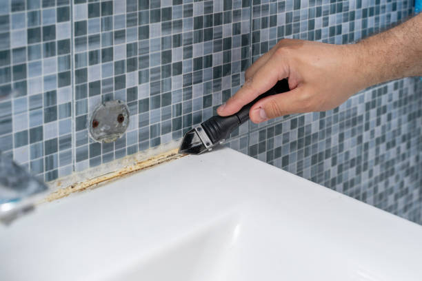 Best Professional Mold Removal  in St Stephen, SC